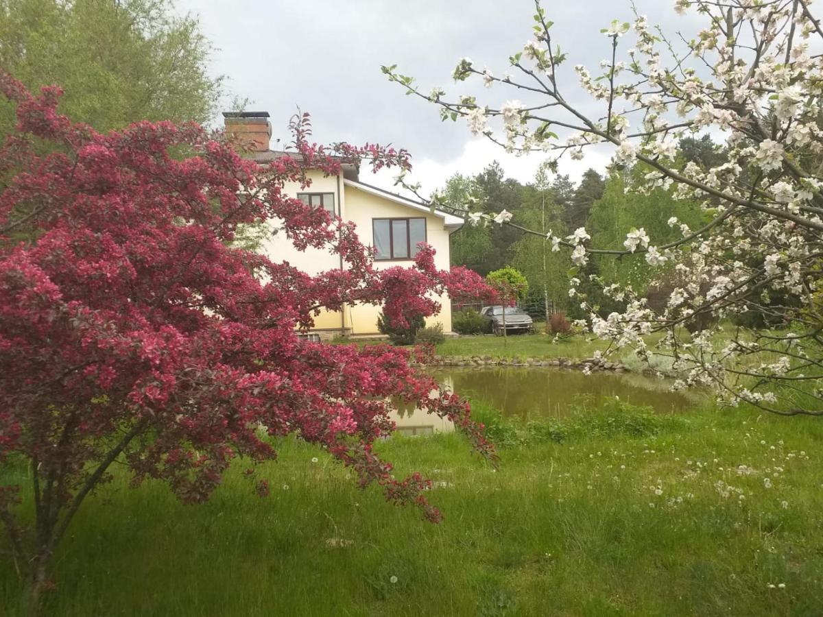 Guest House Pechersky & Sons Dreilini  Buitenkant foto