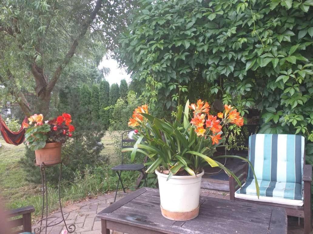Guest House Pechersky & Sons Dreilini  Buitenkant foto